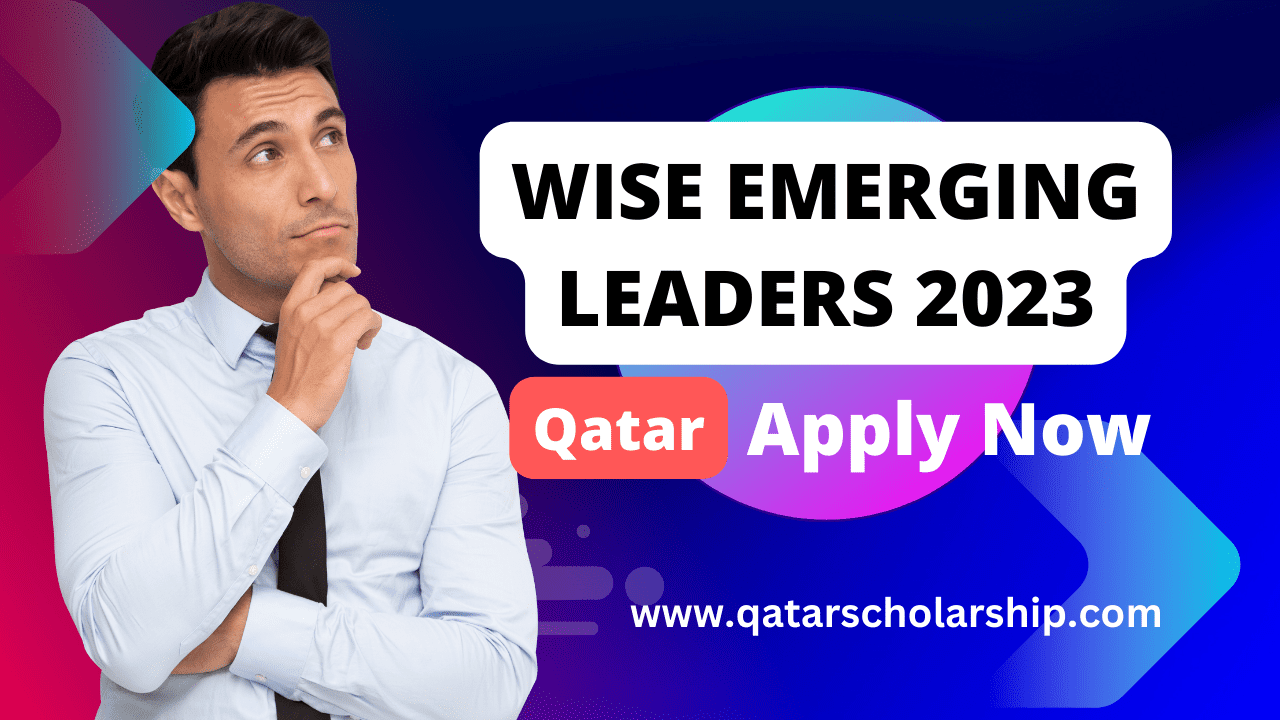 wise emerging leaders